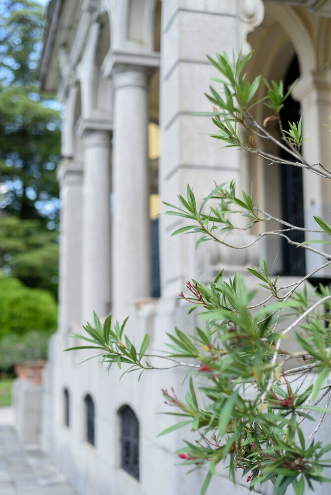 Bed & Breakfast Villa Miotti De Braida
