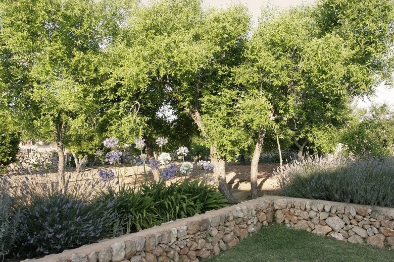 Agroturismo Son Capellot