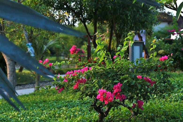 Hotel Bao Ninh Beach Resort