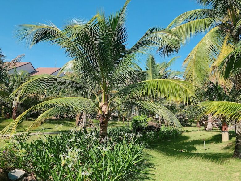Hotel Bao Ninh Beach Resort
