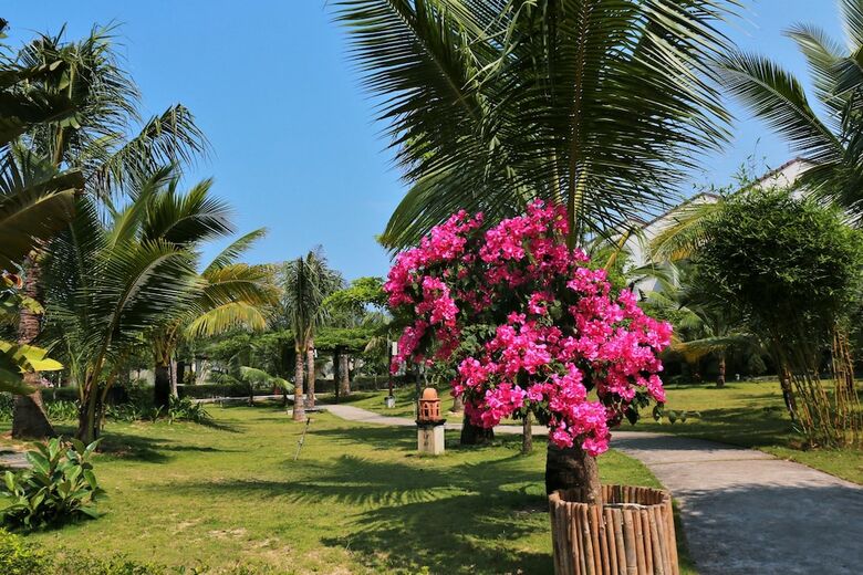 Hotel Bao Ninh Beach Resort