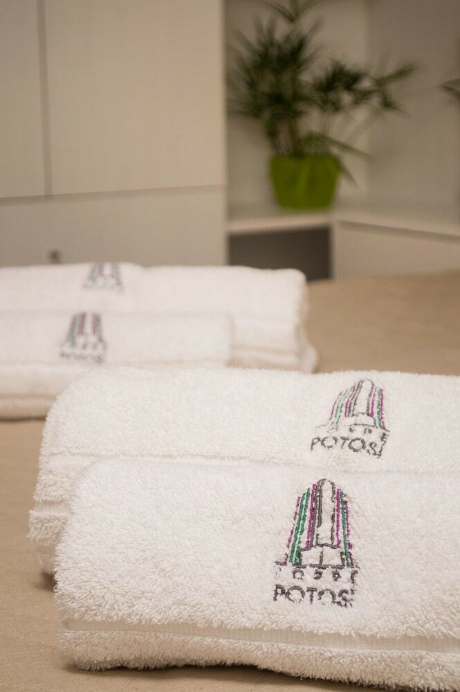 Apartamentos Torre Potos�