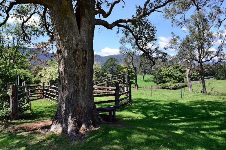 The Laurels B&B Kangaroo Valley