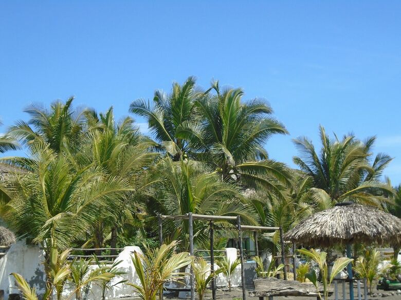 Hotel Marbella Eco Lodge