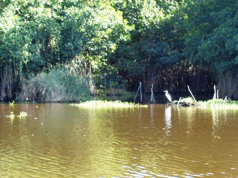 Hotel Marbella Eco Lodge