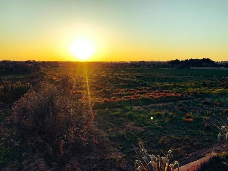 Bed & Breakfast Masseria Tornesella