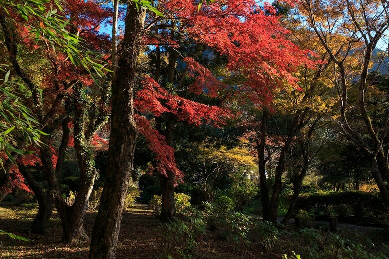 Yufuin Ryokan Baien