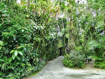 Hostal Pousada Do Oasis