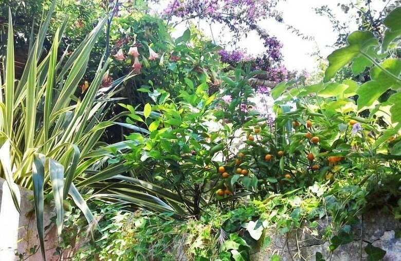 B&B La Salamandra Kitchengarden