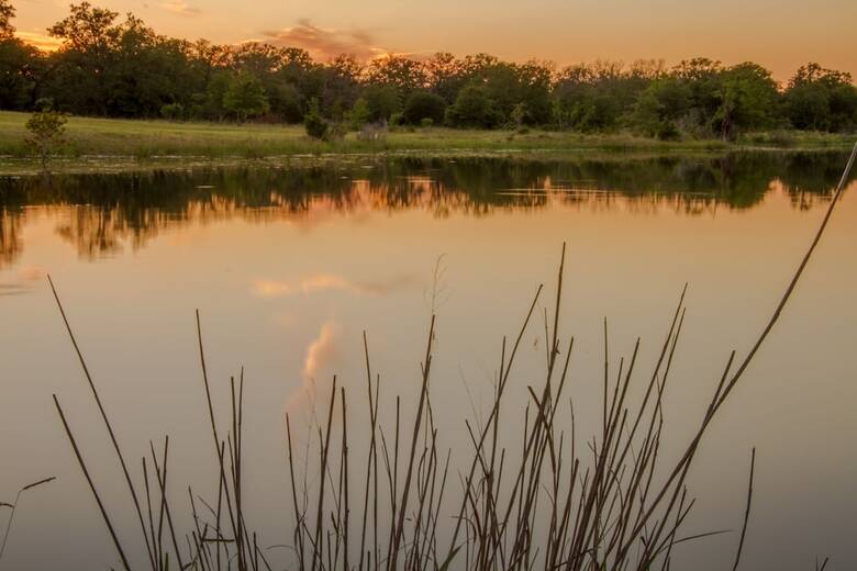 Bed & Breakfast Night Bird Ranch