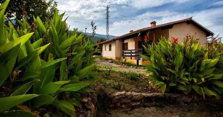Casa Rural Fuente Del Aliso