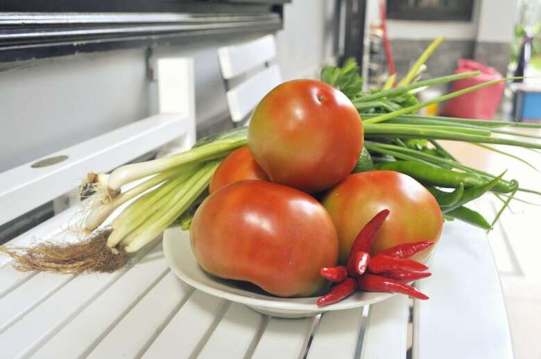 Hotel Green Coco Homestay Hoi An