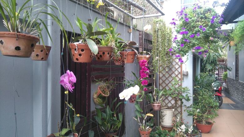 Hotel Green Coco Homestay Hoi An