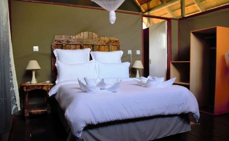 Posada Lion Roars Lodge