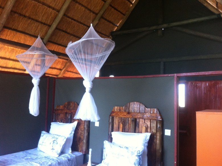 Posada Lion Roars Lodge
