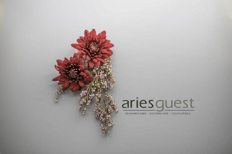 Apartamentos Aries Guest