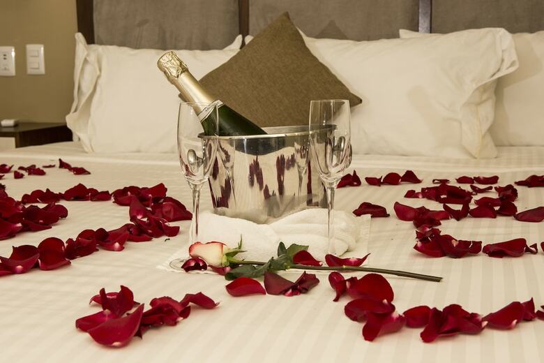 Hotel Suites Lerma