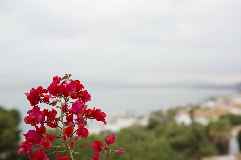 Apartamentos Casa Balc�n De M�laga