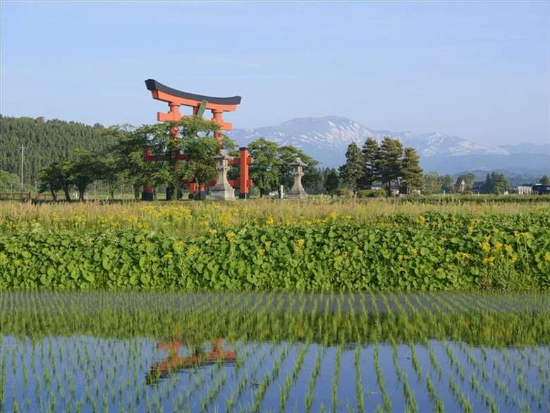Apa Hotel Tsuruoka-ekimae