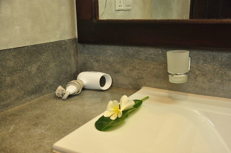 Hotel Green Villa