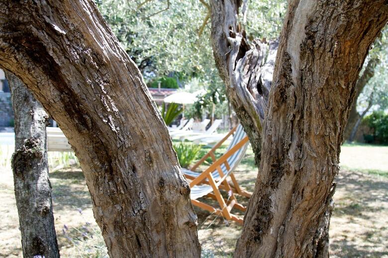 Bed & Breakfast Villa Fillinelle