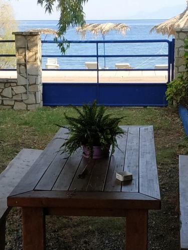 Apartamentos Holiday Tolofona