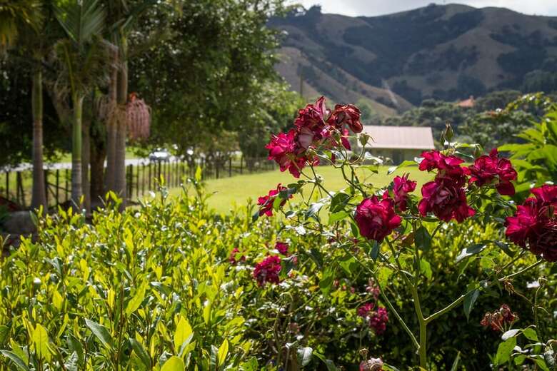 Taigh Na Mara Bed And Breakfast
