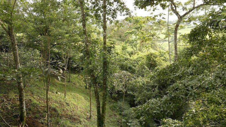 Hotel Villa Tina Eco-lodge