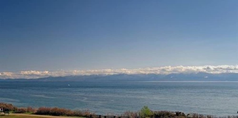 Dashwood Manor Seaside Bed & Breakfast