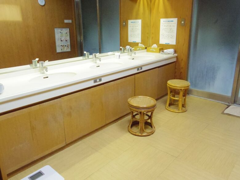 Hotel Hakone Gora Onsen Yumenoyu