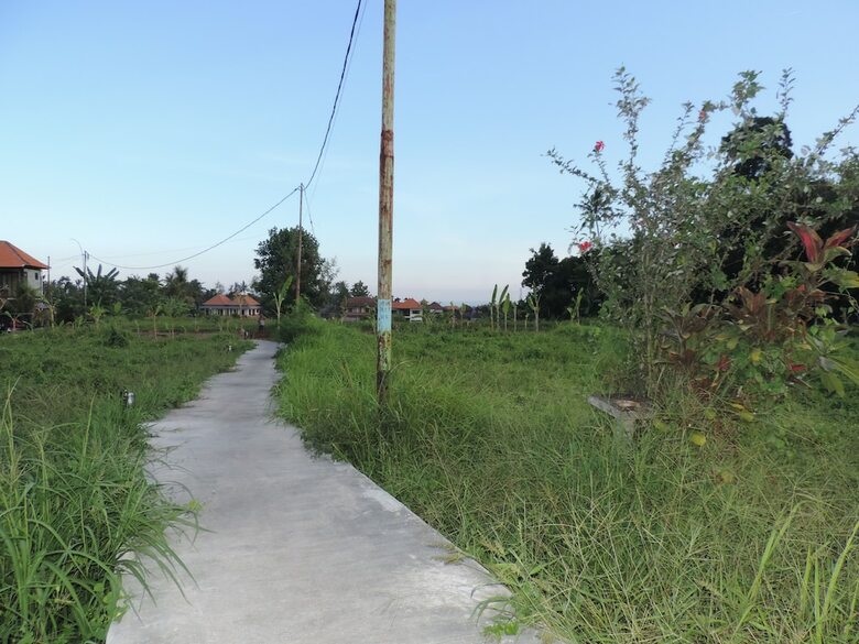 Bed & Breakfast Duana Sari Ubud