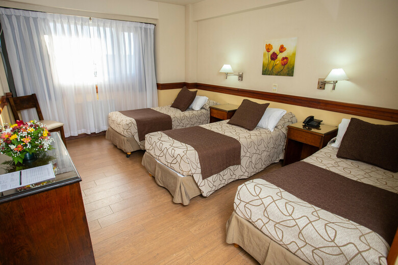 Hotel Aguas Del Sur