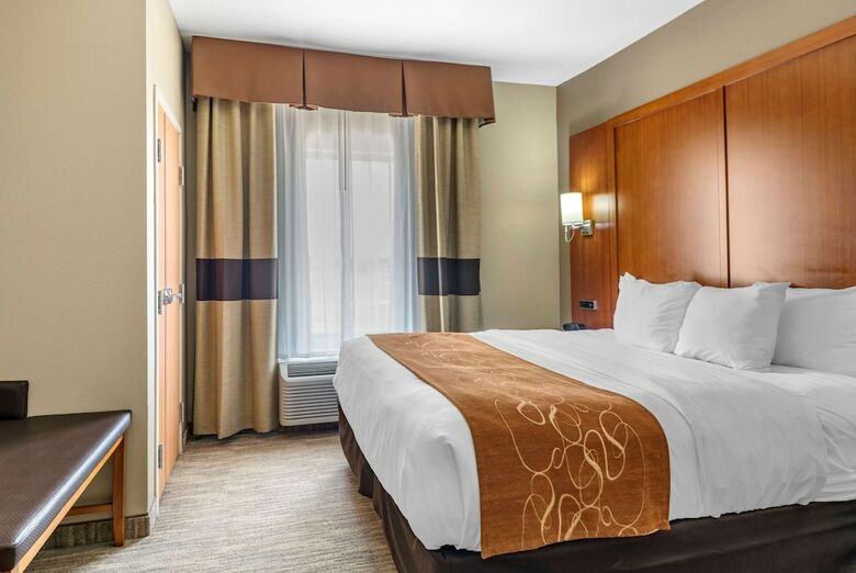 Hotel Comfort Suites University