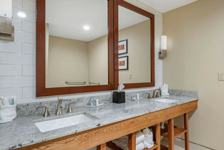 Hotel Comfort Suites University