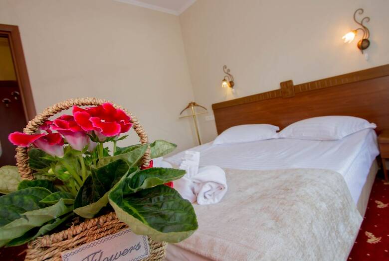 Pension Cabana Schiorilor Predeal