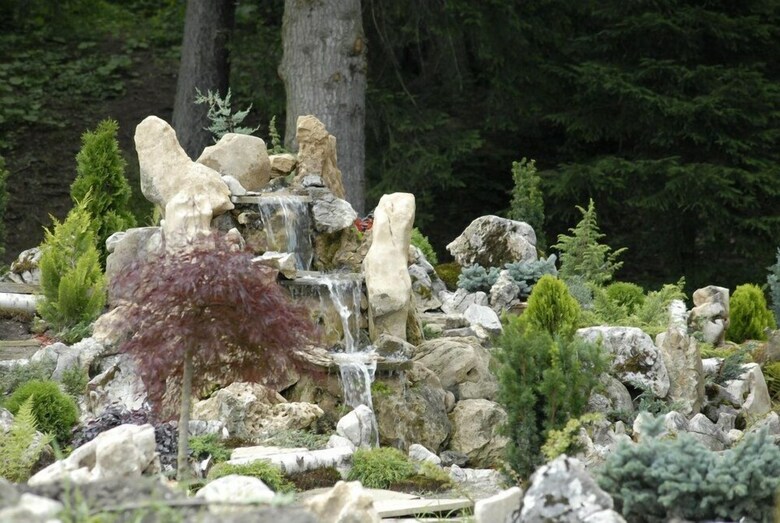 Pension Cabana Schiorilor Predeal