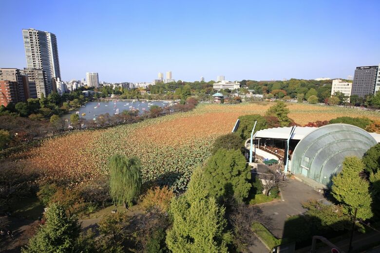 Centurion Ladies Hostel Ueno Park - Caters To Women