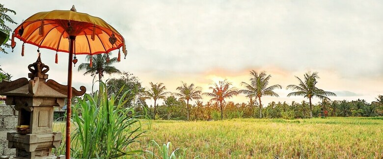 Hotel Bisma Cottages Ubud