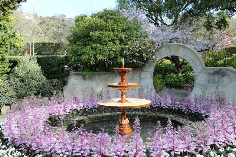 Highfield Mews Motel