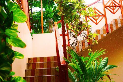Hotel Maafushi Village