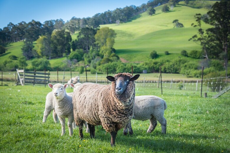 Ashdowns Of Dover Bed And Breakfast