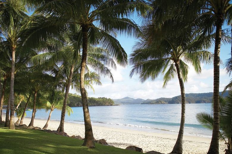 Apartamento Palm Bungalows
