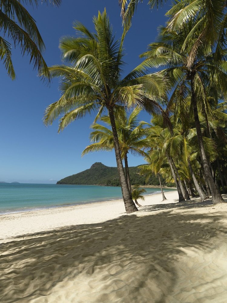 Apartamento Palm Bungalows