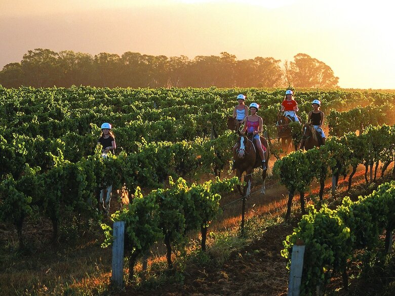 Hotel Hunter Valley Resort