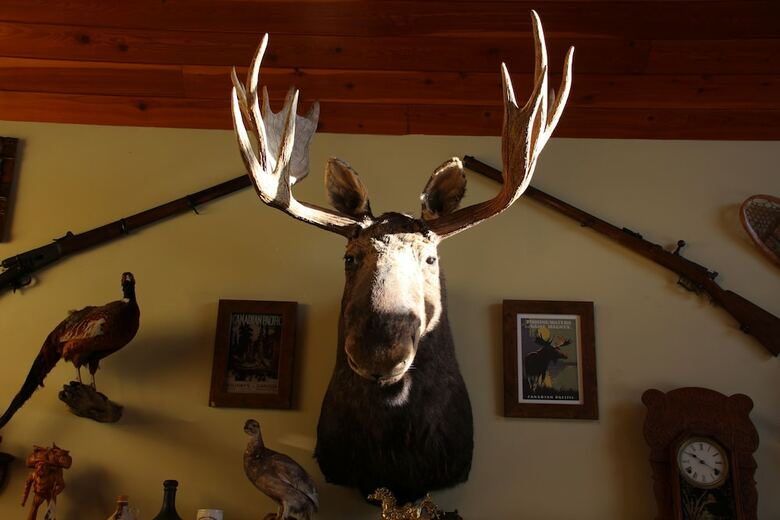 Bed & Breakfast Montana Hill Guest Ranch