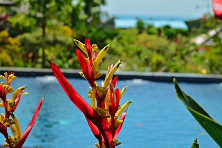 Hotel Atmaland Resort