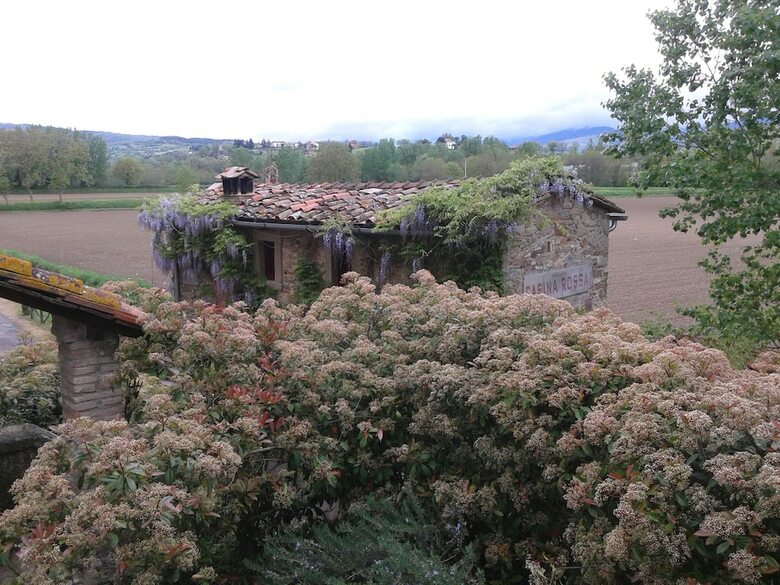 Apartamento Podere Casina Rossa