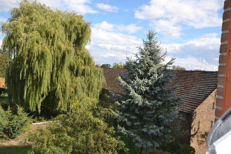 Apartamentos Pur Natur & Berlin Alex 40min.
