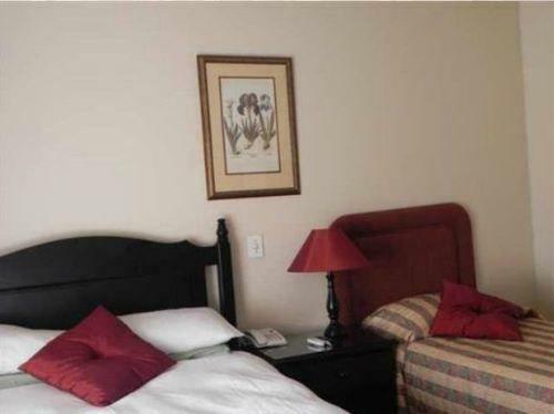 Hotel Outlook Lodge Or Tambo