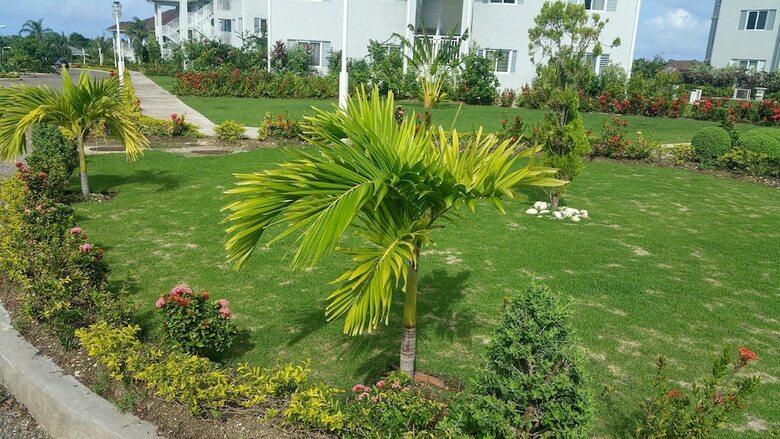 Fern Court Apartment With Oceanic View III